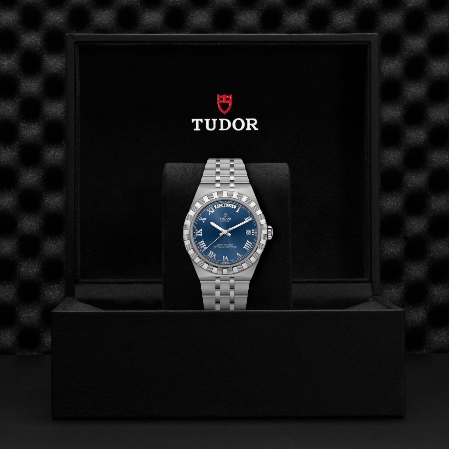 Tudor - Imagem 5