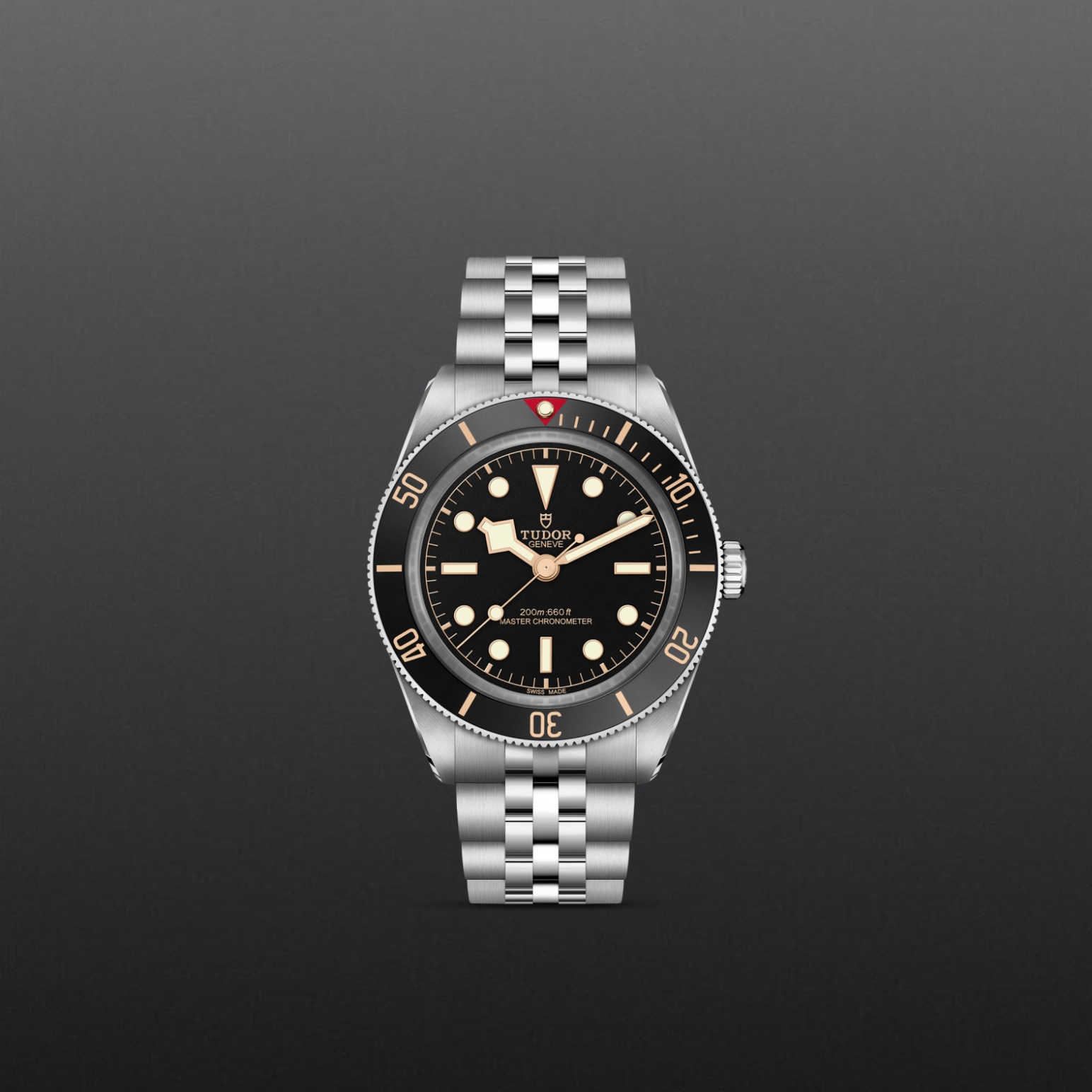 Tudor - Imagem 2