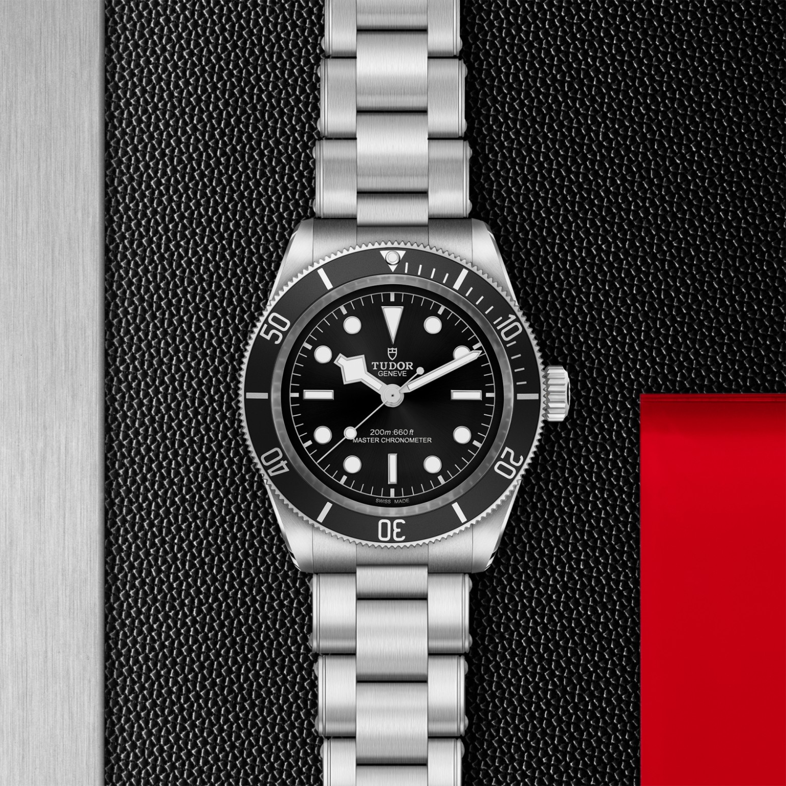 Tudor - Imagem 3